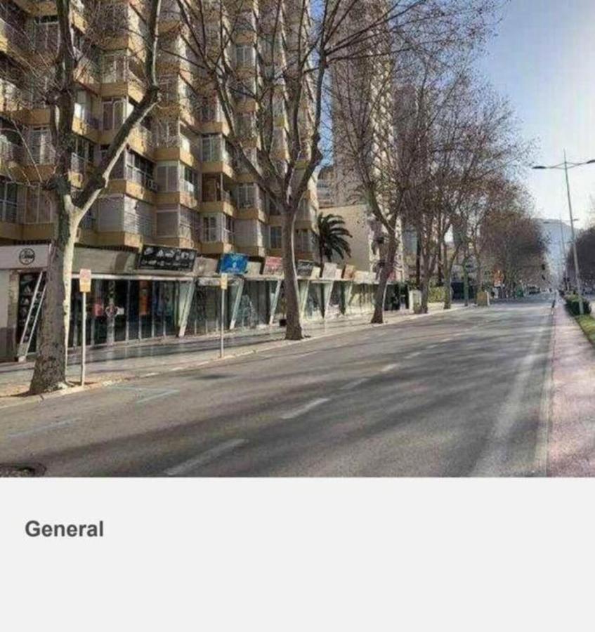 Los Caballos Vip Playa Levante Benidorm Buitenkant foto